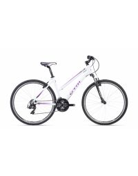Bicycle CTM MAXIMA 1.0 whitepurple pearl