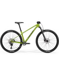 Bicycle Merida BIG.NINE 3000 III1 MATT FALL GREEN(BLK/SLV-GRN)
