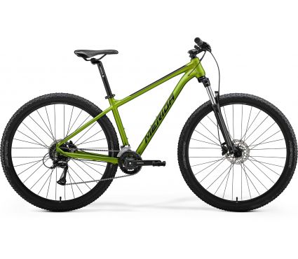 Bicycle Merida BIG.NINE 20 VI1 MATT FALL GREEN(BLACK)