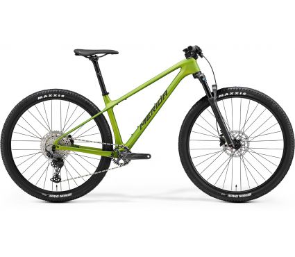 Bicycle Merida BIG.NINE 3000 III1 MATT FALL GREEN(BLK/SLV-GRN)