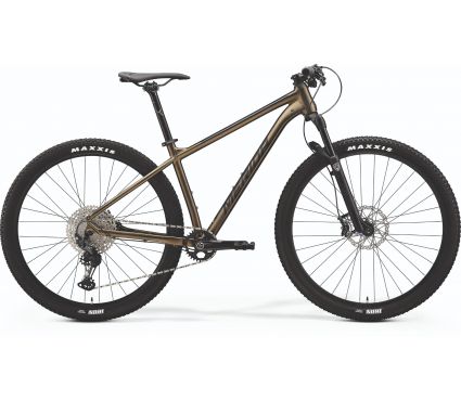 Bicycle Merida BIG.NINE XT-EDITION IV1 SILK SPARKLING GOLD(BLACK)