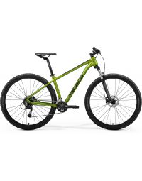 Bicycle Merida BIG.NINE 20 VI1 MATT FALL GREEN(BLACK)
