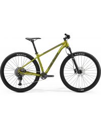 Bicycle Merida BIG.NINE 400 IV1 SILK FALL GREEN(BLACK)