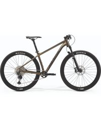Bicycle Merida BIG.NINE XT-EDITION IV1 SILK SPARKLING GOLD(BLACK)
