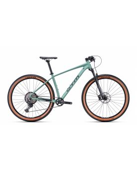 Bicycle CTM RASCAL 3.0 29" matt grey green