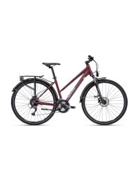 Bicycle CTM BORA 2.0 trek matt red pearl/grey