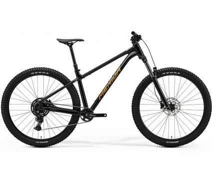 Merida BIG.TRAIL 300 II1 BLACK(BROWN)