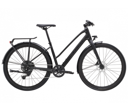 Bicycle TREK DUAL SPORT 2 EQ STAGGER Gen 5 Lithium Grey