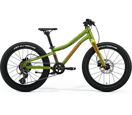 Bicycle Merida MATTS J.20+ I2 FALL GREEN(RED/BLACK)